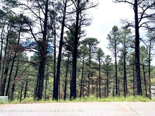 Lot 12 Brentwood Dr, Alto, NM, 88312 | Card Image