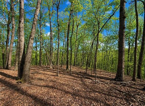 0 Burnt Mountain Cove Rd, Jasper, GA, 30143 | Card Image