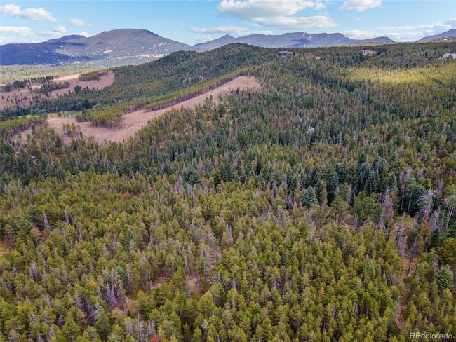 8570 S Warhawk Rd, Home with 0 bedrooms, 0 bathrooms and null parking in Conifer CO | Image 17