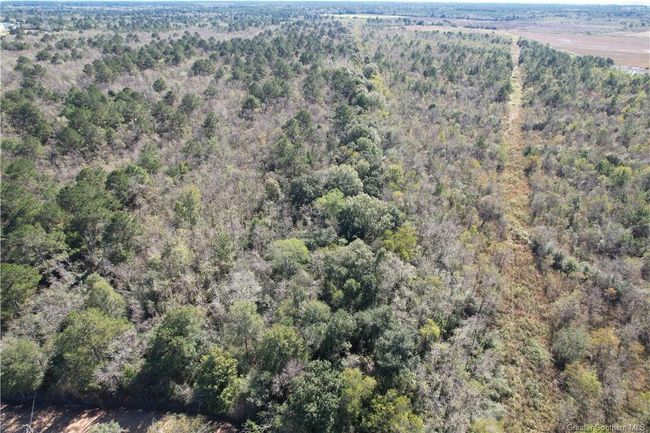 0 Dogwood Rd, Home with 0 bedrooms, 0 bathrooms and null parking in Egan LA | Image 5