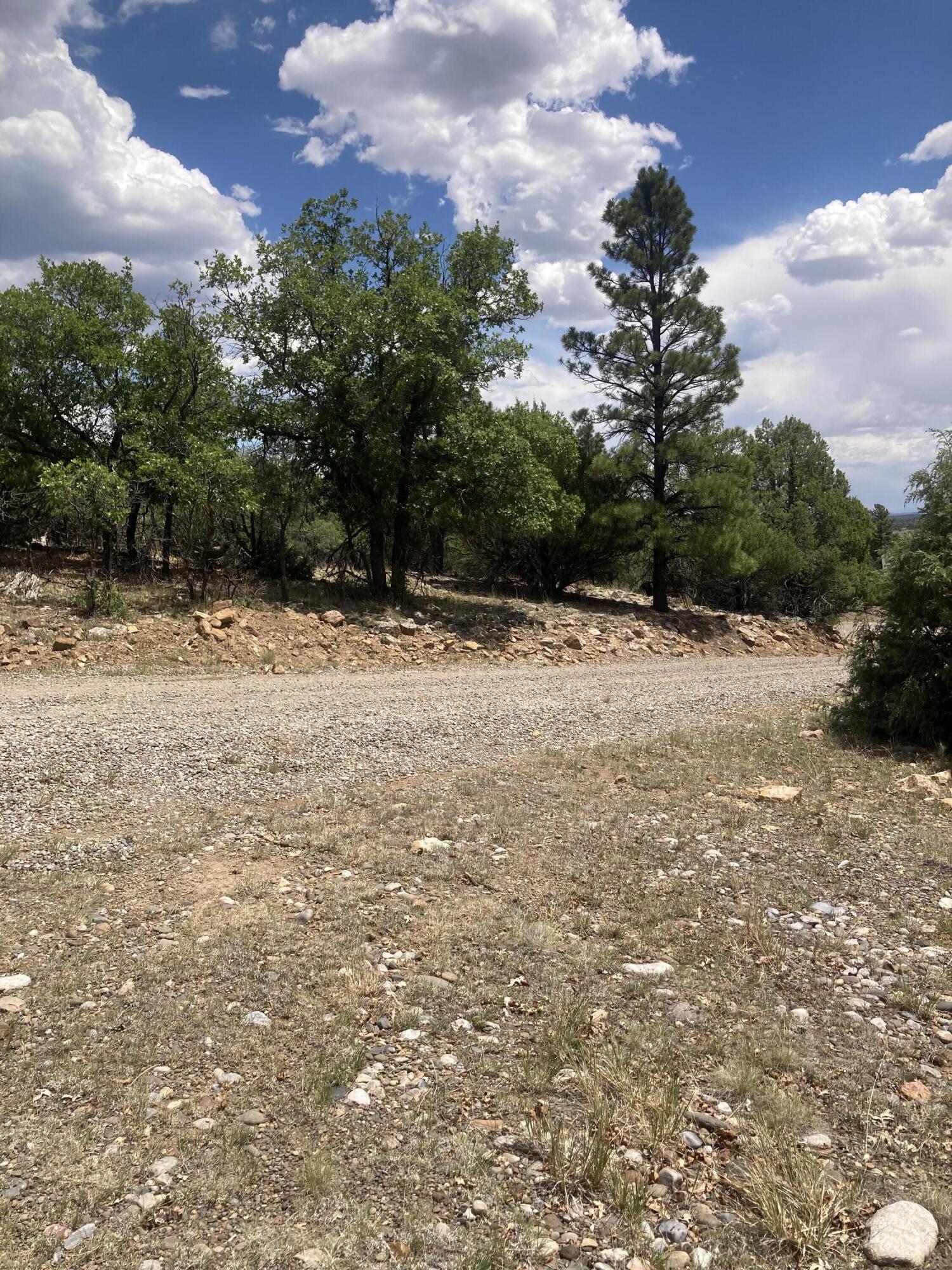 Land in Los Ojos 5