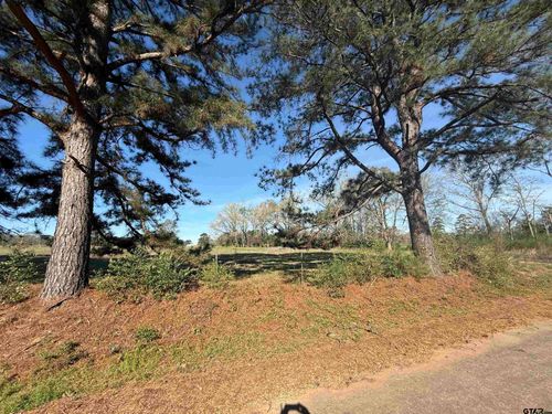 TBD Lot 3 Cr 476, Henderson, TX, 75654 | Card Image