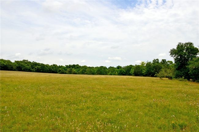 View of nature featuring rural landscape | Image 13