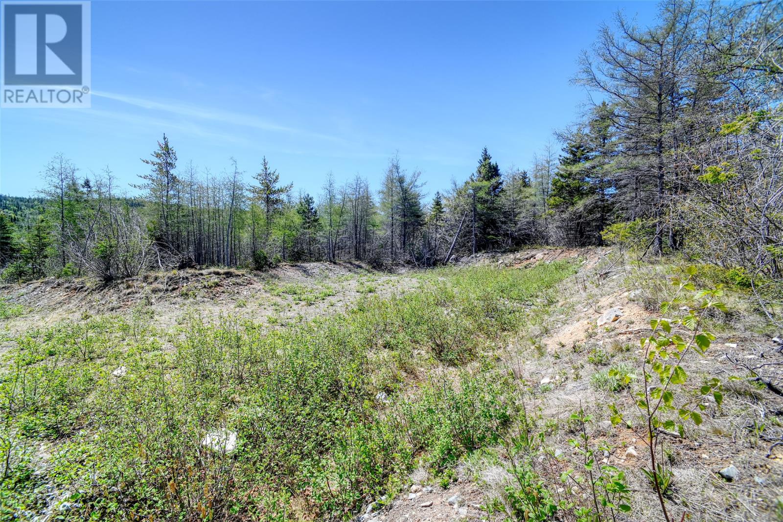 Land in Bay Roberts 5