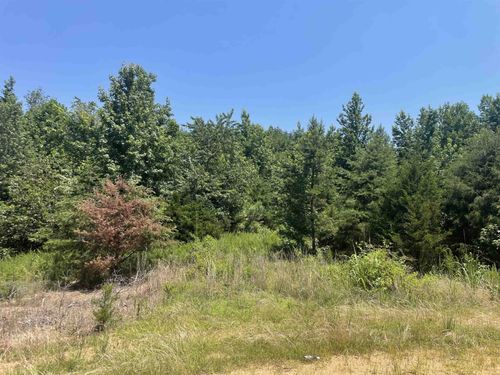 51 Billy Nance Hwy, Clifton, TN, 38425 | Card Image