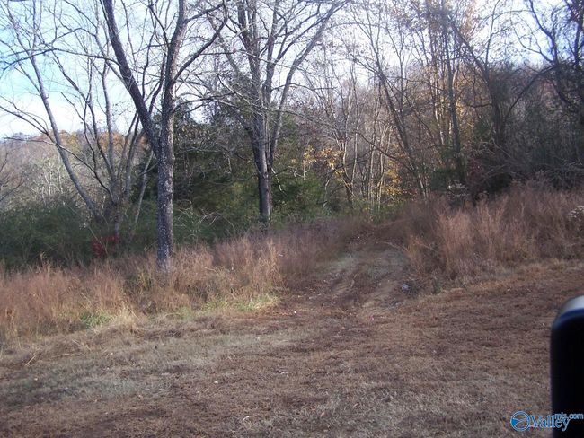 2176 Columbia Hwy, Home with 0 bedrooms, 0 bathrooms and null parking in Pulaski TN | Image 10