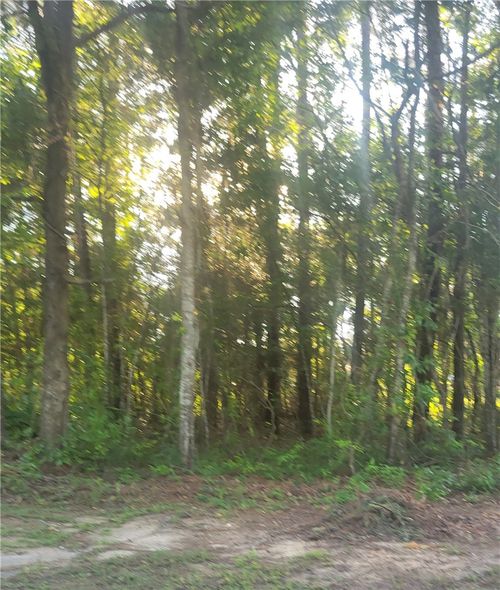 00 Webb Ave, Tuskegee, AL, 36083 | Card Image