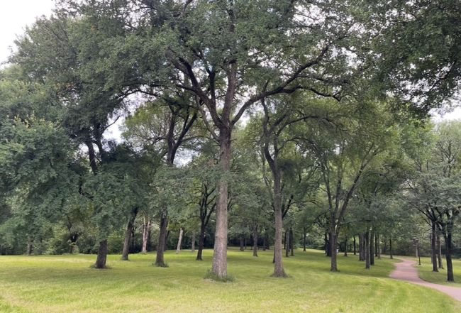 Park just around the corner! Wonderful walking trails | Image 31