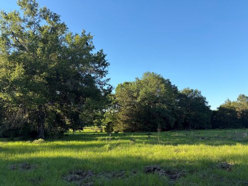 289 County Road 261, Oakwood, TX, 75855 | Card Image