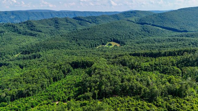 2486 Laurel Fork Rd, Home with 0 bedrooms, 0 bathrooms and null parking in Rocky Gap VA | Image 57