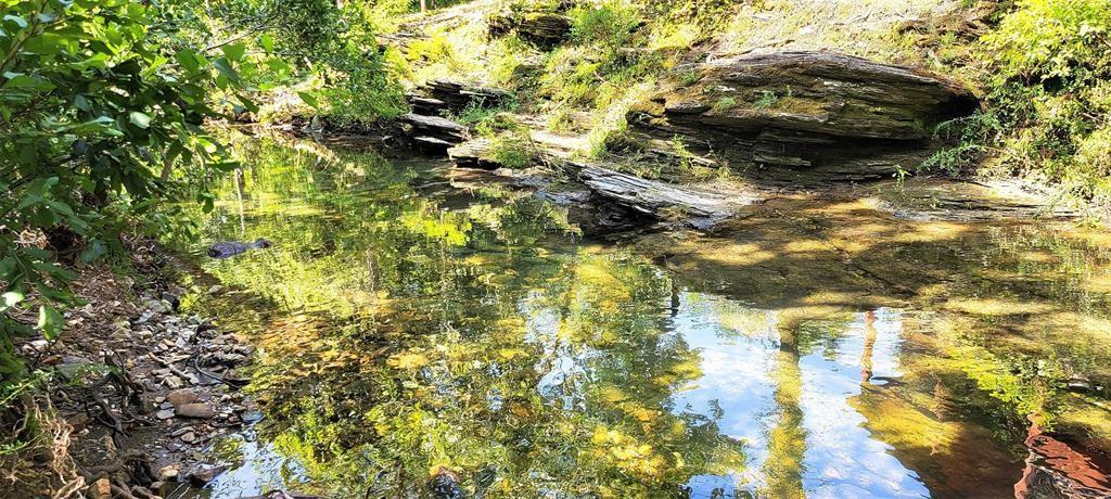 Land in Broken Bow