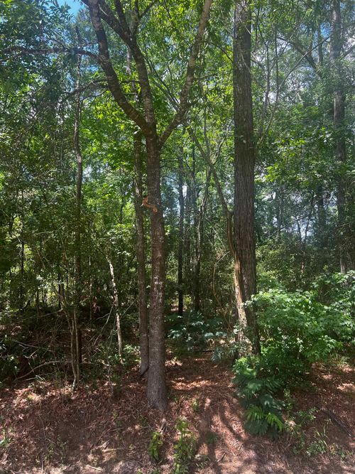 0 Glenbrook St, Beaumont, TX, 77713 | Card Image
