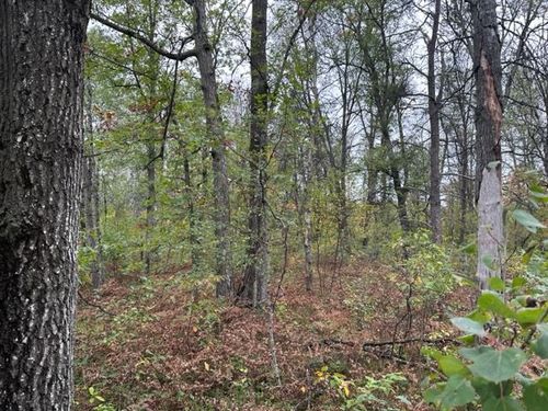10 Acres W 6 Mile Rd, Beaver Creek Township, MI, 48738 | Card Image