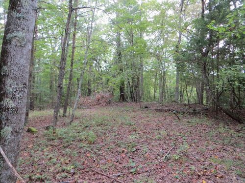 377 Sinclair Ln, Crossville, TN, 38572 | Card Image