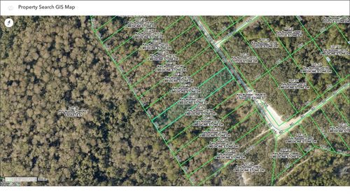 TBD Medicine Stone Dr, Webster, FL, 33597 | Card Image