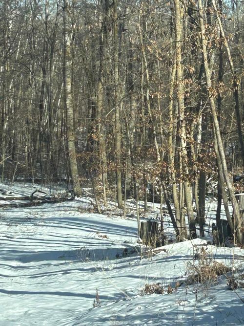 xxx Birch Curve Rd, Randall, MN, 56475 | Card Image