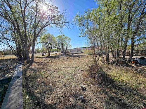 1035 8th St, Del Norte, CO, 81132 | Card Image