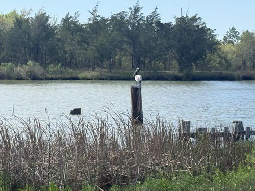 01 W Bayshore Rd, Anahuac, TX, 77514 | Card Image