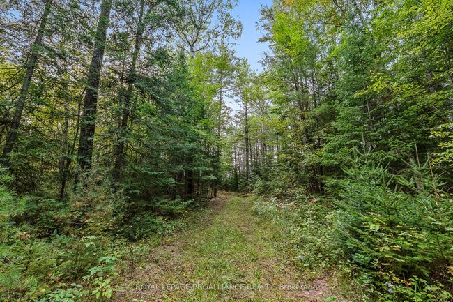 00 Highway 41, Home with 0 bedrooms, 0 bathrooms and null parking in Kaladar ON | Image 5