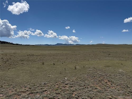 1338 Chimapavi Trl, HARTSEL, CO, 80449 | Card Image