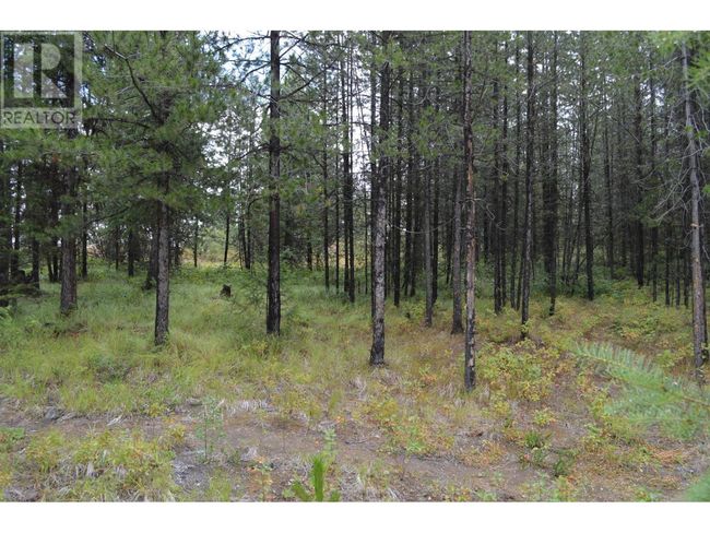 Lot 1 3 Rd St, Home with 0 bedrooms, 0 bathrooms and null parking in Kootenay Boundary BC | Image 11