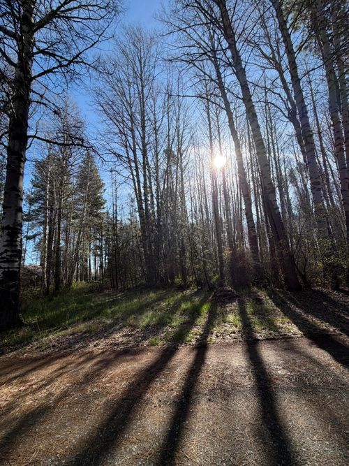 315625 Runnels Ln, Klamath Falls, OR, 97601 | Card Image