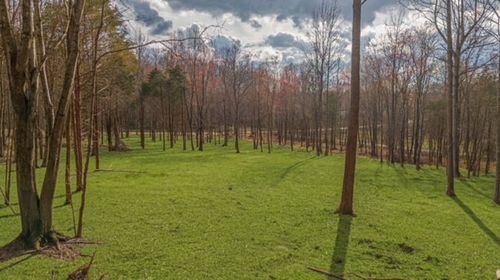 7878 Bill Moss Rd, White House, TN, 37188-5059 | Card Image