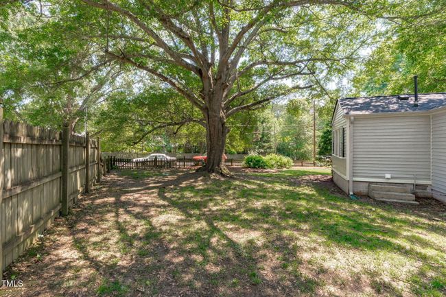 Back Yard | Image 30
