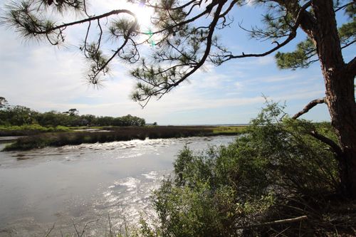 20 George Vause Rd, Alligator Point, FL, 32346-5204 | Card Image