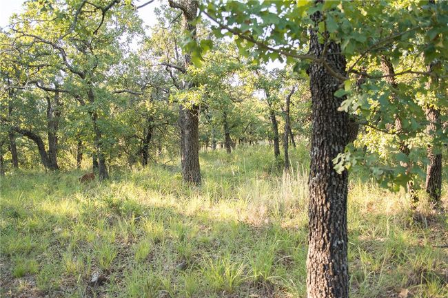 1020 Post Oak Rd, Home with 0 bedrooms, 0 bathrooms and null parking in Gordon TX | Image 24