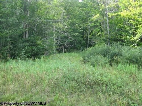 Lot 3 Northlake Drive, Davis, WV, 26260-0000 | Card Image