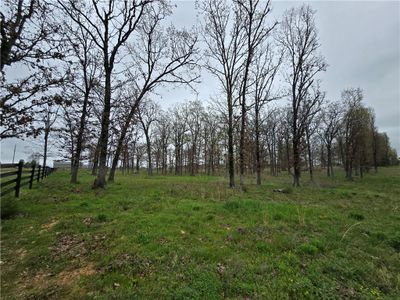 Tract 1 Wedington Blacktop (Wc33) Road, Home with 0 bedrooms, 0 bathrooms and null parking in Lincoln AR | Image 2