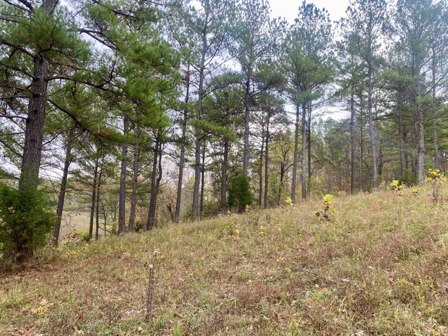 427 Blooming Grove Rd, House other with 2 bedrooms, 2 bathrooms and null parking in Five Points TN | Image 36