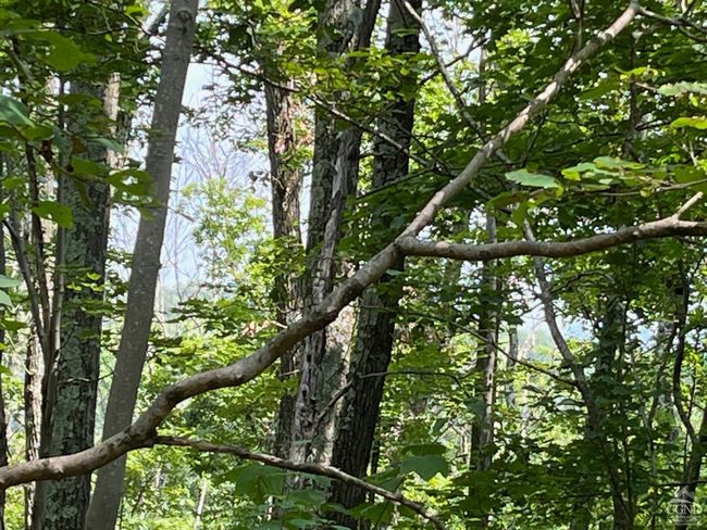 0 Cascade Mountain Rd, Home with 0 bedrooms, 0 bathrooms and null parking in Amenia NY | Image 7