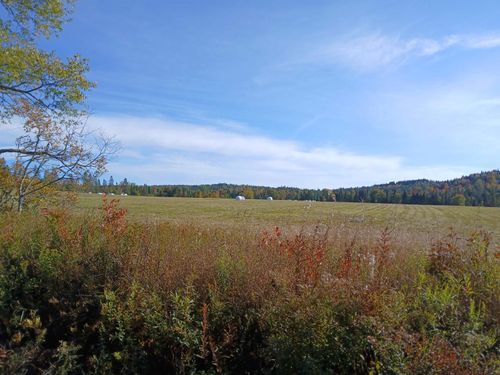 Lot 2 Creampoke Rd, Stewartstown, NH, 03576-5411 | Card Image