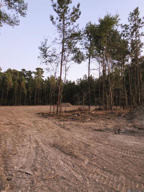 17249 Jack Allen Rd, Livingston, LA, 70754-4902 | Card Image