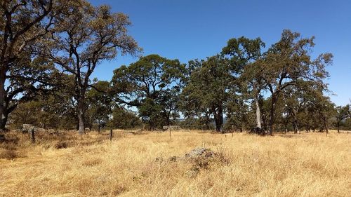 2 Crystal Blvd, El Dorado, CA, 95623 | Card Image