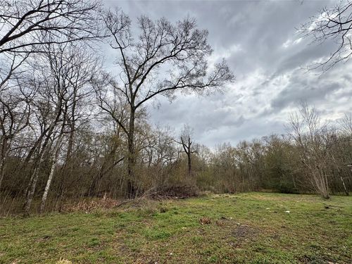 10 Neuman Street, Coldspring, TX, 77331 | Card Image