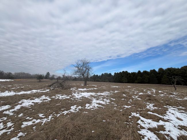 12 N Oak Ave, Home with 0 bedrooms, 0 bathrooms and null parking in Paris MI | Image 11
