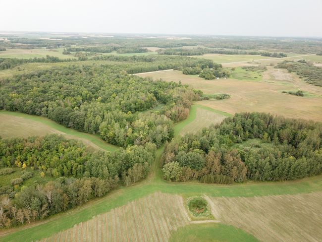 DJI_0104.JPG | Image 14