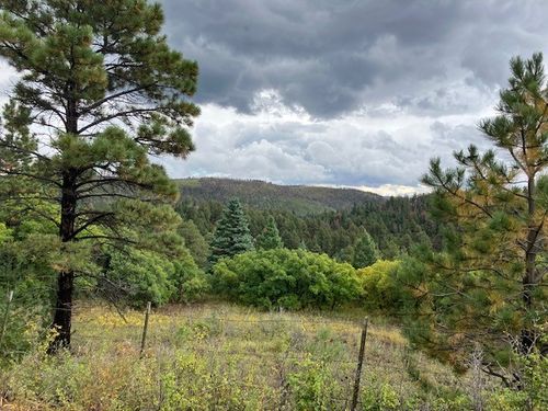 1 La Sierra Road, Holman, NM, 87723 | Card Image