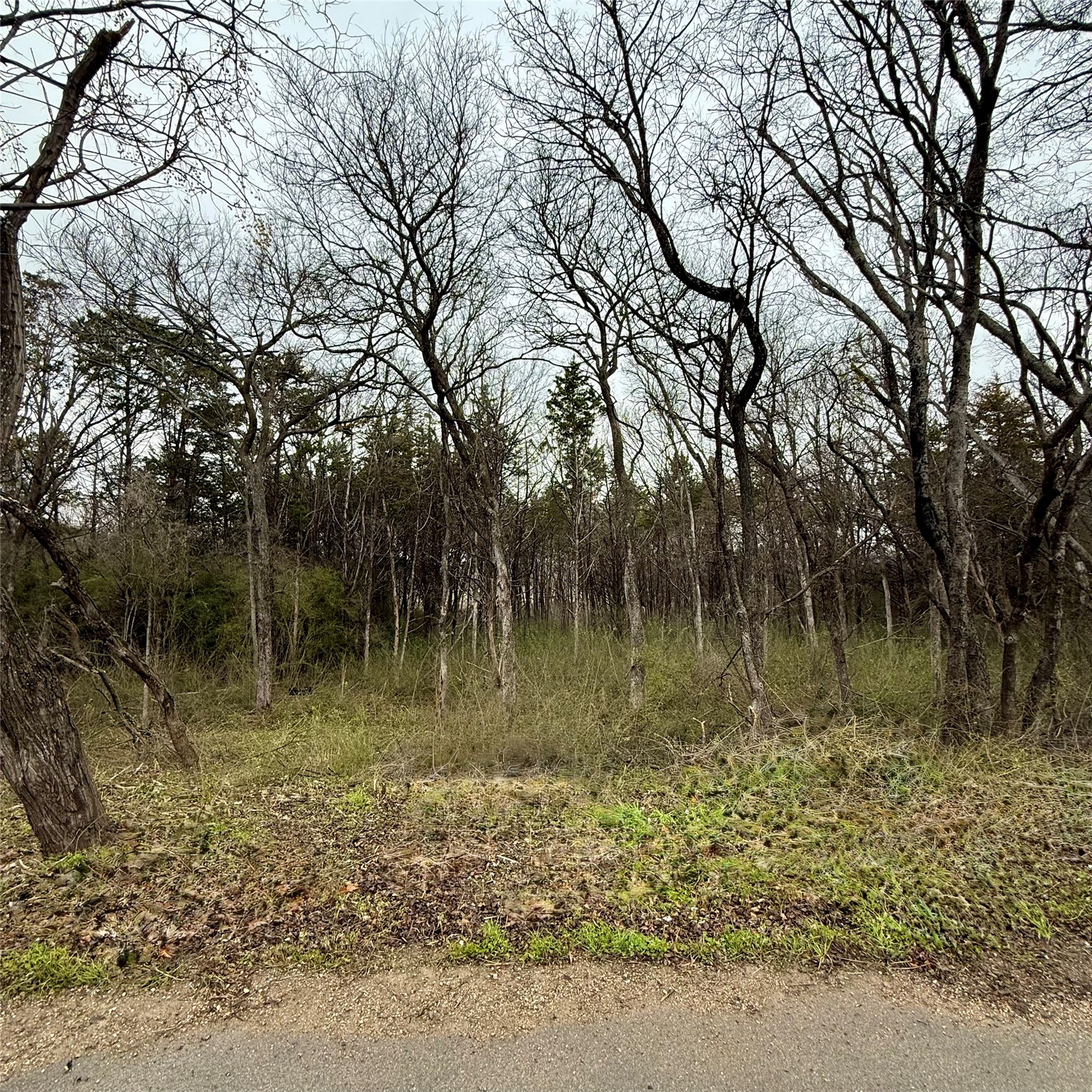 Land in Dallas 3