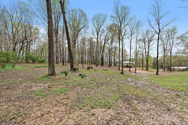 4233 Old Coopertown Rd, House other with 3 bedrooms, 2 bathrooms and null parking in Springfield TN | Image 20