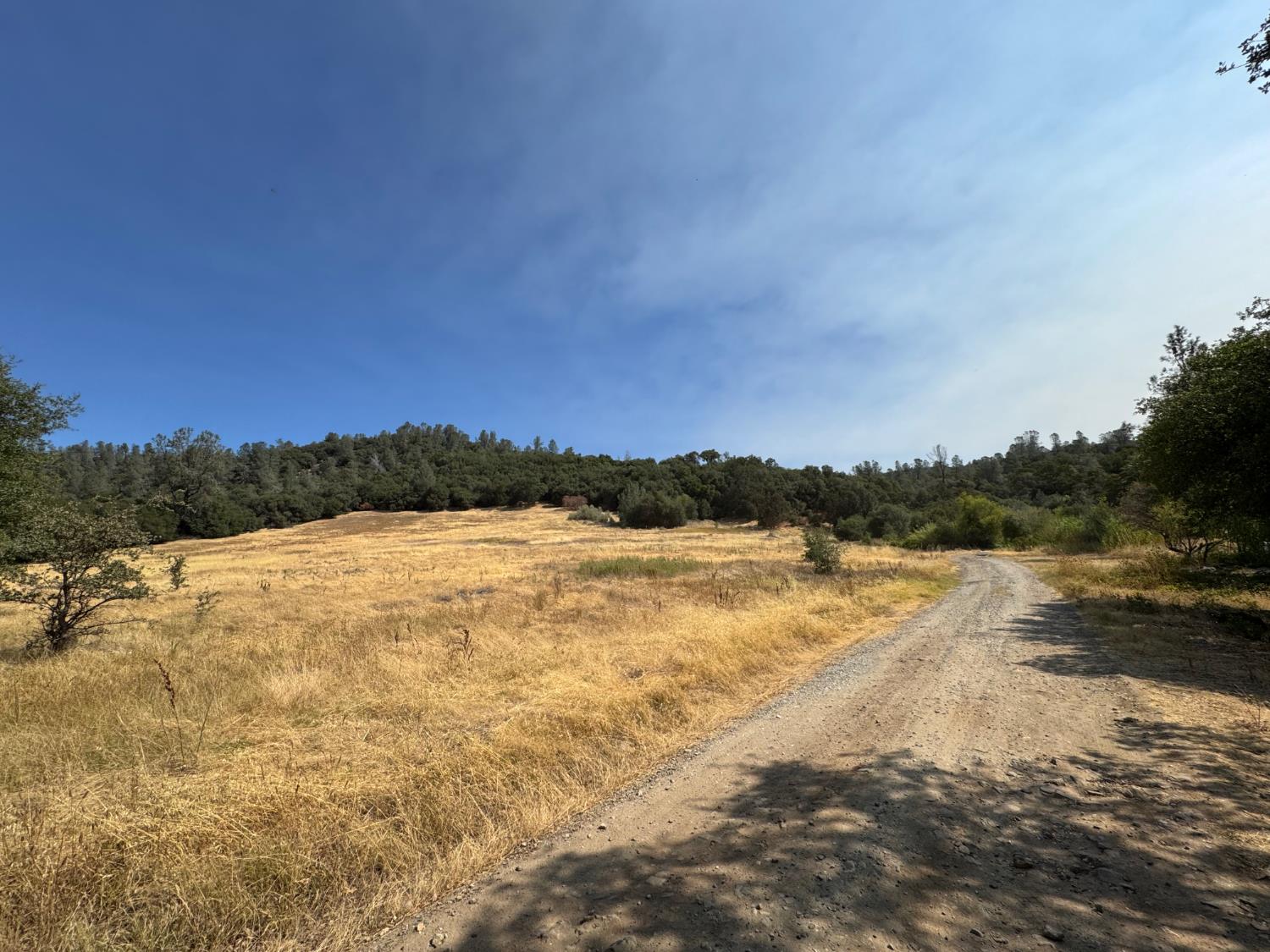Land in North San Juan 4