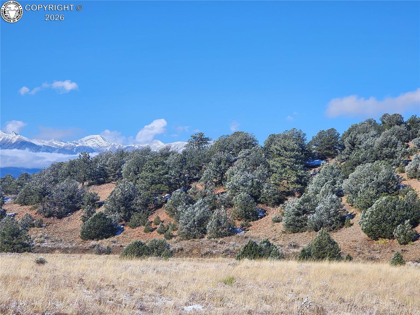 Land in Westcliffe 5