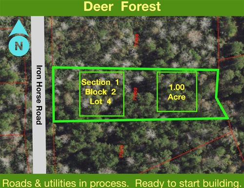 284 Iron Horse Rd, New Waverly, TX, 77358 | Card Image