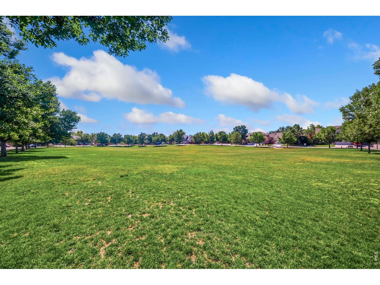 Residential in Loveland 2