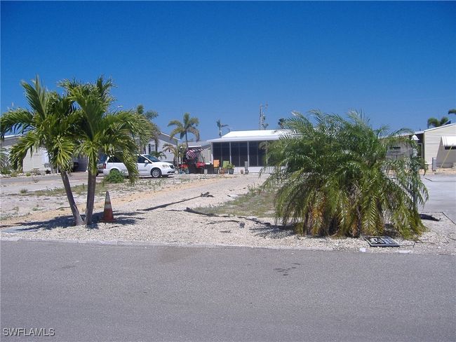 With Palms | Image 10