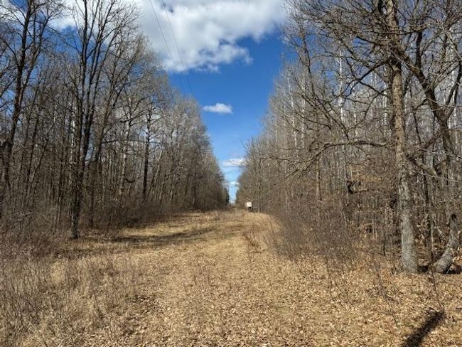 West Powerline | Image 32