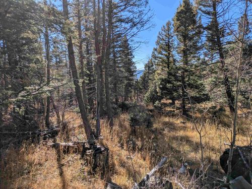 1369 Skyview Way, Angel Fire, NM, 87710 | Card Image